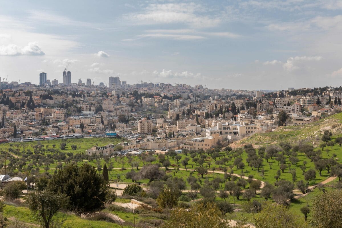 Oliivipuita Palestiinassa